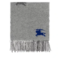 Burberry Accessories-Heren Sjaals