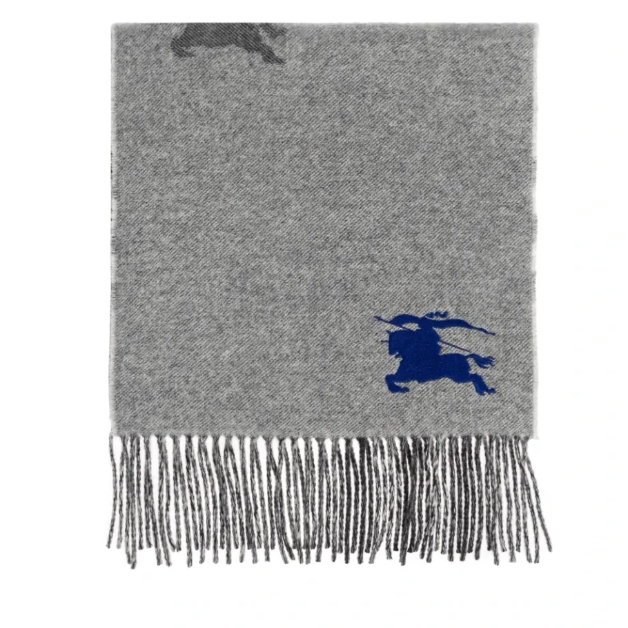 Burberry Accessories-Heren Sjaals