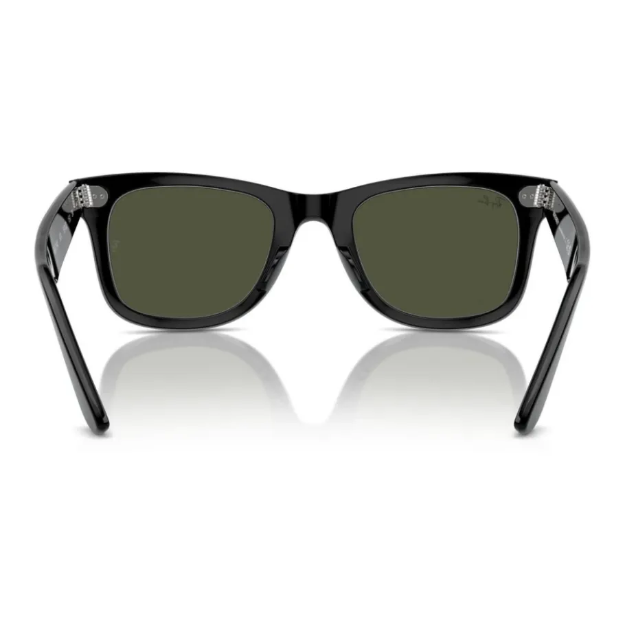 Ray-Ban Acetate Zonnebrillen-Heren Zonnebrillen
