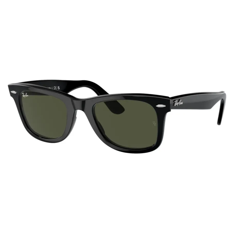 Ray-Ban Acetate Zonnebrillen-Heren Zonnebrillen