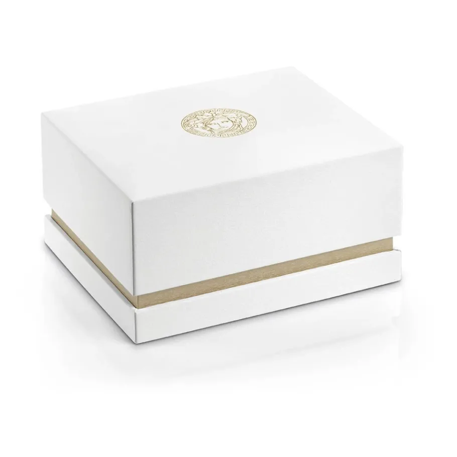 Versace AION Roestvrijstalen Herenhorloge-Heren Horloges