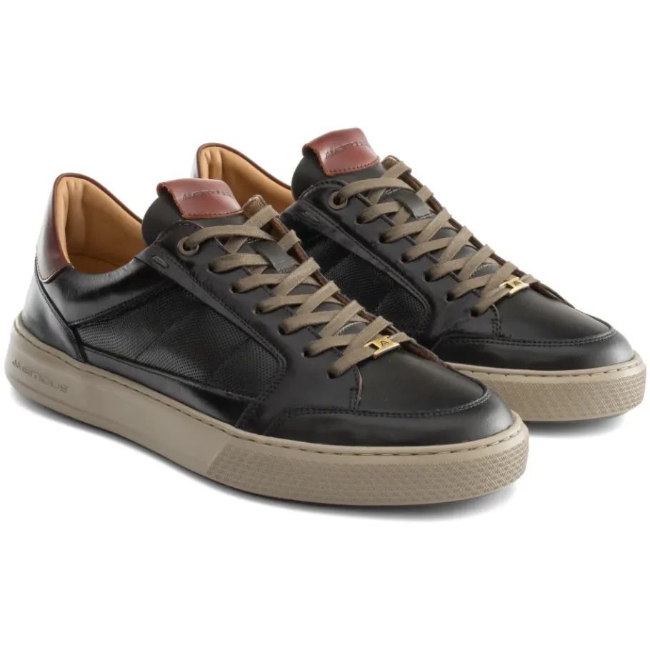 Ambitious ANOPOLIS Panel Sneaker-Heren Sneakers