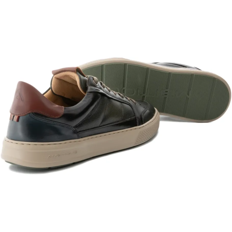 Ambitious ANOPOLIS Panel Sneaker-Heren Sneakers