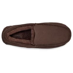 UGG Ascot Pantoffels Dusted Cocoa-Heren Pantoffels