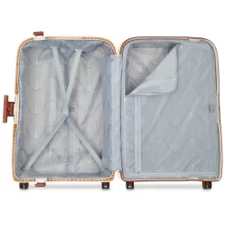 Delsey Cabin Bags-Heren Tassen