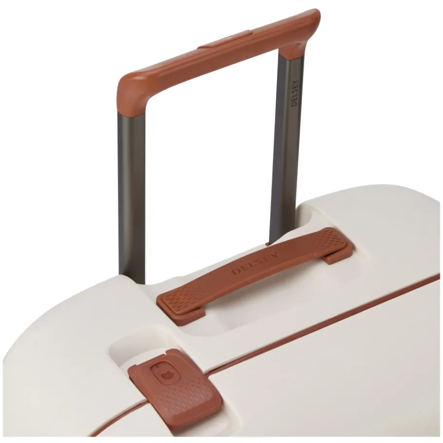 Delsey Cabin Bags-Heren Tassen