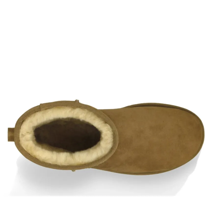 UGG Classic Mini Laarzen Chestnut-Heren Snowboots|Laarzen