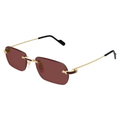 Cartier CT0498S 002 Sunglasses-Heren Zonnebrillen