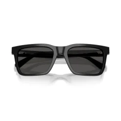 Emporio Armani EA 4262U Zonnebril-Heren Zonnebrillen