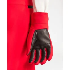 Fusalp Glacier M Ski Handschoenen-Heren Handschoenen