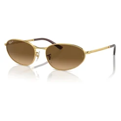Ray-Ban Goud/bruin getinte Gepolariseerde zonnebril-Heren Zonnebrillen