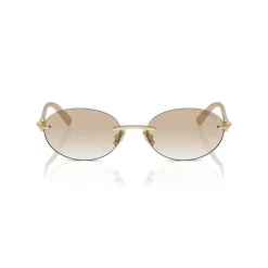 Tiffany Goudbruine zonnebril-Heren Zonnebrillen