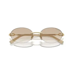 Tiffany Goudbruine zonnebril-Heren Zonnebrillen