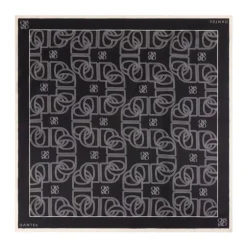 Dante 6 Monogram Sjaal-Heren Sjaals
