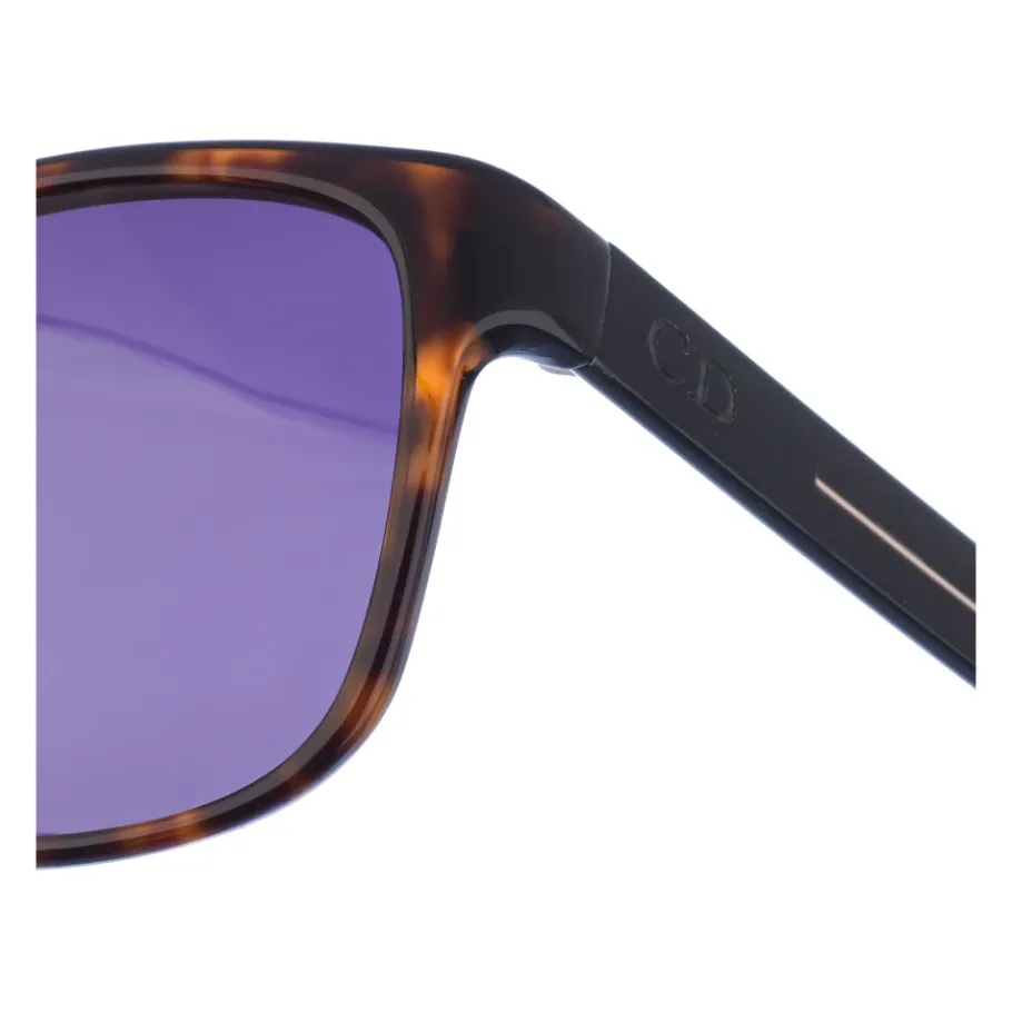 Dior Ovale Acetaat Zonnebril-Heren Zonnebrillen